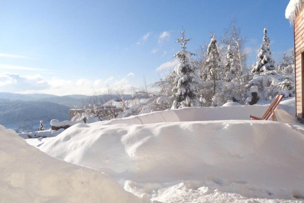 Laptitevosgienne Vue Lac A Gerardmer ! Exteriér fotografie